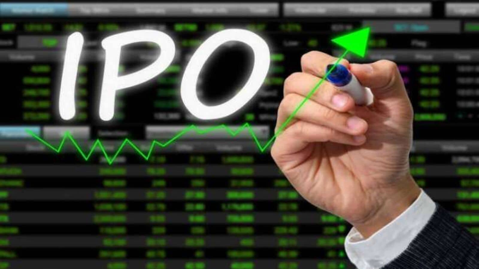 5 top performing IPOs of 2024 so far