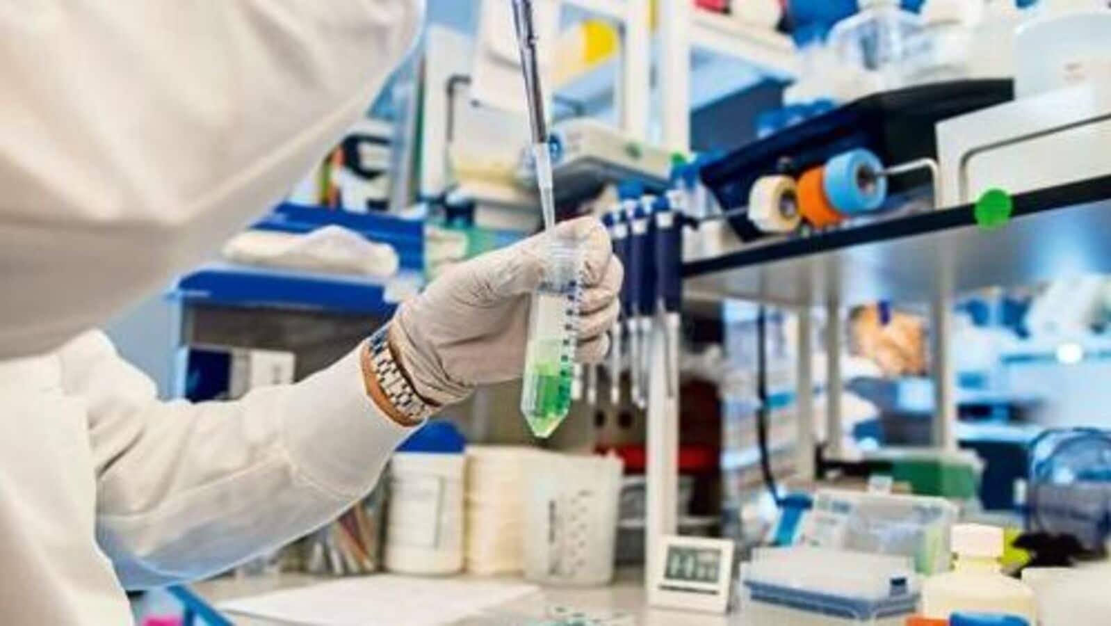 Multibagger stock Sudarshan Chemical surges 20%, hits 52-week high on  ₹1,180 crore acquisition | Stock Market News